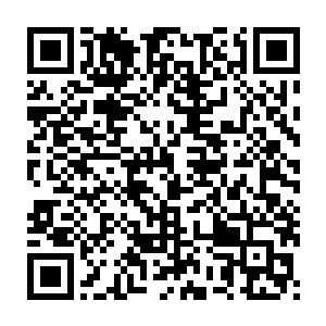 要让两人看着他们所谓的拼死一搏对自己根本就造不成任何的伤害二维码生成