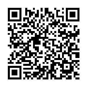 要说这皇族掌握的星界传送技术确实是比空间震荡更为高级二维码生成