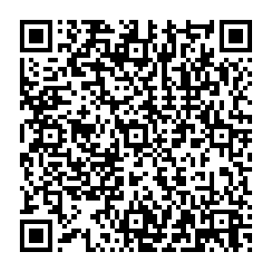 要zhidào这恐怖的价格别说是例行的下哦拍卖会哪怕是大型拍卖会恐怕都很难出现如此恐怖的价格二维码生成