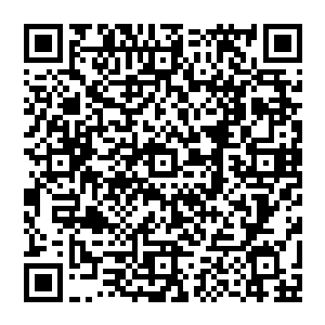 见他出手 风清扬顿时判断出了他的修为 心里微微松口气 区区入道境的修士 在他眼中根本就不够看二维码生成