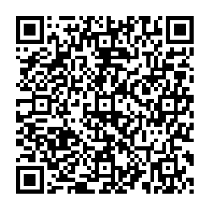 见他那副模样　风清扬心头顿时有了一个肯定　他再次从储物戒指中取出八块极品灵石二维码生成