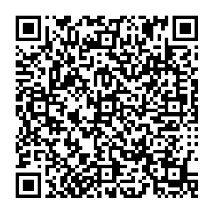 见到了一系列的灵异事件开始我便开始发现自己生活的这个世界似乎存在着很多我所不知道的存在二维码生成