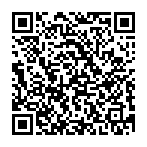 见到前族长的两个火狐族的族人泣不成声的求着银冰去救他们的族长和亲人二维码生成