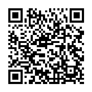 见到张潇晗之前的担忧在看到张潇晗之后全化作了怒气二维码生成