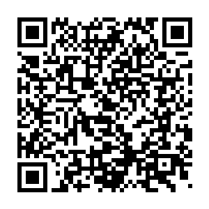 见到的和听到的那个稚嫩却又无比温柔的嗓音和面容不是梦也不是幻觉二维码生成