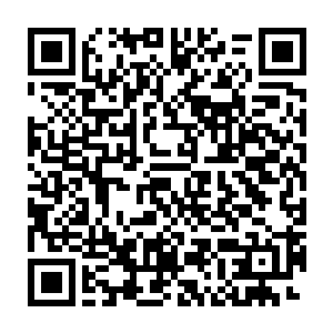 见到皇帝与一些大臣们离开顿时这里的众人在也保持不住那份沉静二维码生成