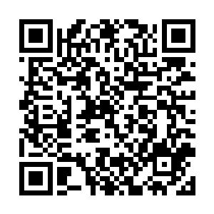 见到罗楼和罗素素还有孔越三人用淡淡的眼神看着他二维码生成