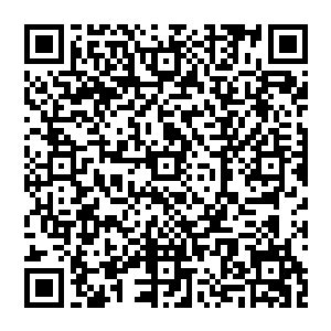见到这一幕 风清扬笑了 他冷哼一声 暗道一声果然有猫腻 之前他出來之时 就已经敏锐的感受到了二维码生成