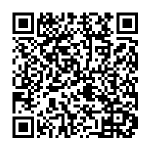 见过雪狼们那谨慎的潜伏和漂亮干脆的击杀后部落的猎手们简直热血沸腾二维码生成