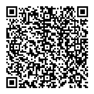 见风清扬楼面 一旁的城主赶紧喊道 他面色有些不自然 看他模样 似乎欲言又止 最后狠狠的瞪了风清扬一眼 便扭头视而不见二维码生成