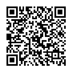 觉哥体表的锡箔纸战甲便已在能量波的攻击下分崩离析二维码生成