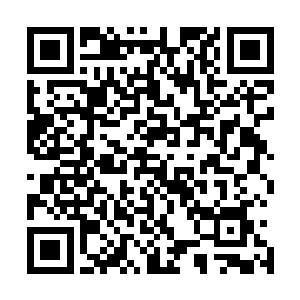 觉得吴虎臣可能会顾忌他们身后实力的家族子弟顿时愣住了二维码生成