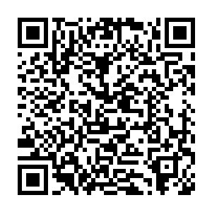 觉得就算你在这里继续胡作非为下去也不会有人知道你是冒牌的对吗二维码生成