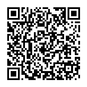 觉得当初在察觉到他们气息的时候没有立刻避开果然是正确的选择二维码生成