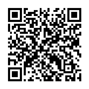觉得秦宇如此不尊重赌约那是对他们灵师这一个行业的侮辱二维码生成