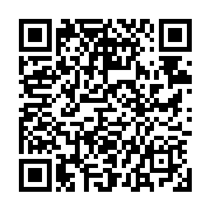 觉着那一只可以吸收热量而转换成能量粒子的海葵最可疑了二维码生成