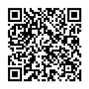 言传身教……阿尔法伯伯难道你们是和穆根一起做眼保健操的吗二维码生成