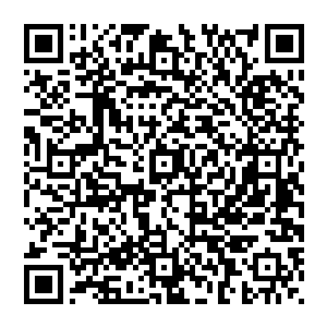 言明刘璋就是接触过这种被污染的玉石才换上怪病不治身亡――刘璋患病的事和田玉石行当的人都知道二维码生成