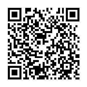 言梦和高原小心翼翼的踩着杨洛他们留下的脚印走二维码生成