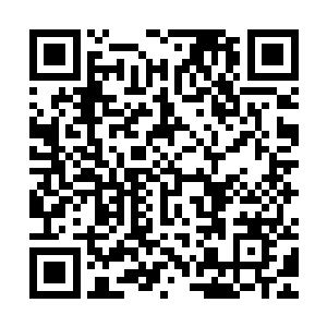 詹姆斯他们已经通过实验证明了这个理论提出的一些推论和现象二维码生成