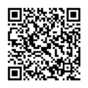 认为许首长会帮助你在仕途发展……但许家除了许首长二维码生成