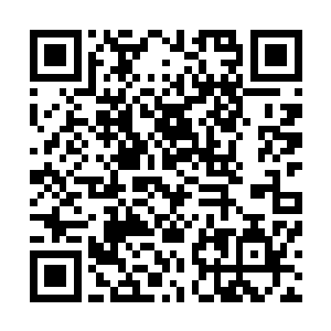 认为195厂在内部保卫和经警队伍管理上存在诸多问题和漏洞二维码生成