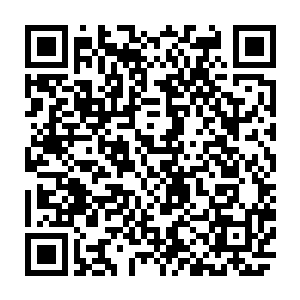 认认真真地把这个由几位师兄弟完成了再剪辑的版本认认真真地从头看到尾二维码生成