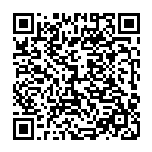 认识了一下各位各个部门的负责人……还收获了一堆掉在地上的眼珠子和膝盖二维码生成