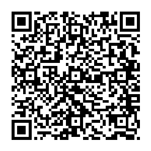 让中央政研室国际研究局和部政研室联合搞的那个课题研究据说很得双方领导的认可二维码生成