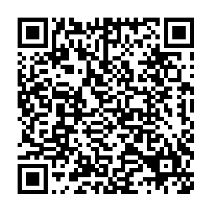 让人们很愿意相信这部梦工厂的佳作会与前辈一样得到奥斯卡的认可二维码生成