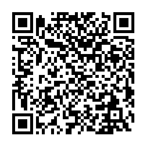 让人恨到牙痒痒却又看着那一双眼睛的时候腾升起无限爱心和母性二维码生成