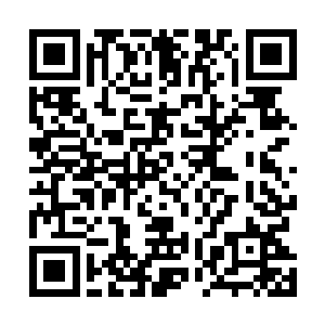 让他……也去歇着……吧……有什么事……明日再说……二维码生成