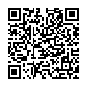 让他们一边玩一边猜我们什么时候做完――别告诉我你舍不得我二维码生成