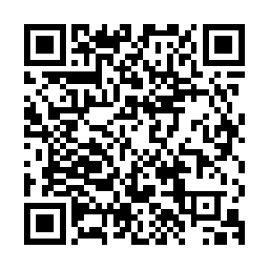 让他们五位域主在短短半盏茶功夫内陨落四位的家伙就这么死了二维码生成