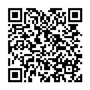 让他们无法调动到北方去开拓通往极北永夜之州补给线二维码生成