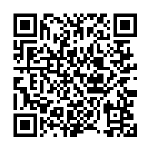 让他们狗咬狗――这本来就是四大选帝侯家族的统御策略二维码生成