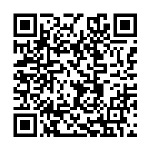 让他们送着一个又一个的青绿玉匣去扶桑古树界域二维码生成