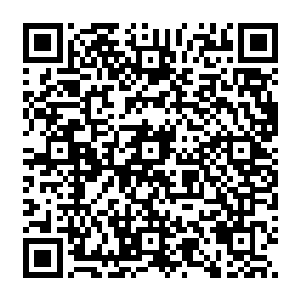 让他在微微的紧张中和巴利与道格两个人一路从学校走到火车站附近那片老旧的贫民区二维码生成