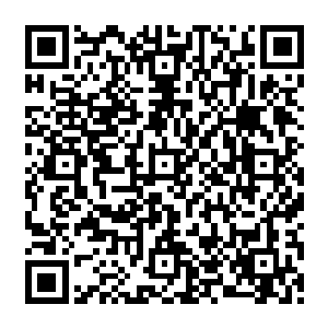 让他完全没办法闯入――克里斯的宅子在靠山的这一面可是全都有通电围栏外加探头的二维码生成
