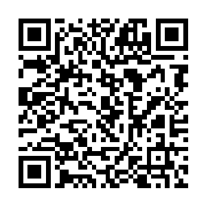 让他帮自己一起把这张卡片投入到对应的暗标箱里去二维码生成