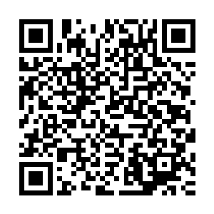 让你欺负我……让你欺负我……我坐死你……让你欺负我……二维码生成