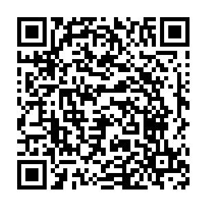 让刚刚到家的澹台明月丢下盼望了这么久的父母去北京和自己欢聚二维码生成