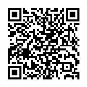 让原本得令不许赶尽杀绝的甲士巡捕都懒得废话什么投降不杀二维码生成