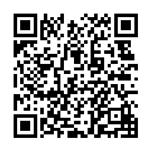 让厨房的厨娘快点把还在张嘴的鱼放进水里免得死掉了二维码生成