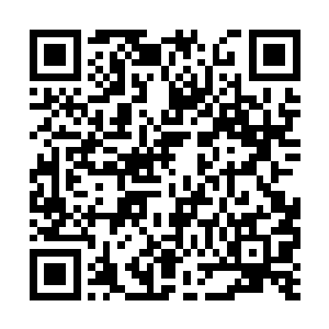 让在一旁的灵猫儿和施用着换血的紫涟漪松了口气二维码生成