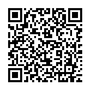 让埃温达拉群岛的一干豪门代表在晚宴结束离开海蓝堡的时候二维码生成