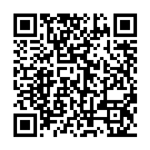 让妮娜看着有种报复成功似的的快感――让你带我去打疫苗二维码生成