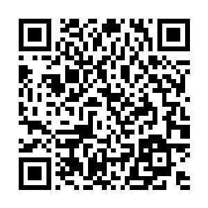让妮娜能继续填肚子的同时还能稍微遮挡一点抢劫犯的视线二维码生成