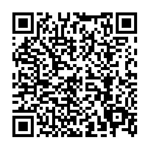 让对方在毁掉吴喜儿剩余的原材料时候顺道毁了那吴喜儿豢养出来的毒蚊二维码生成