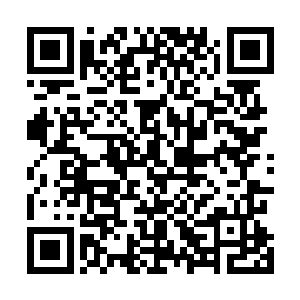 让导演从这繁杂而冗长的素材中拣选出一条清晰的故事线二维码生成